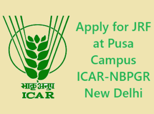 Vacancy at Pusa Campus ICAR-NBPGR New Delhi