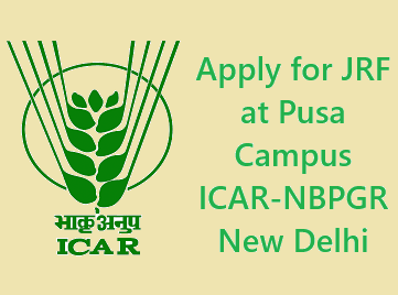 Vacancy at Pusa Campus ICAR-NBPGR New Delhi