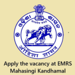 Vacancy at EMRS Mahasingi Kandhamal