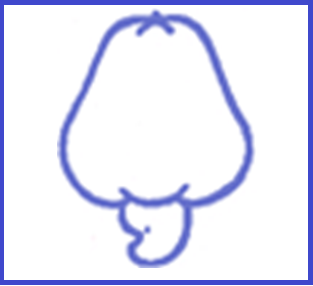 Odisha Cashew Development Corporation recruitment