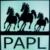 RECRUITMENT AT PAPL PRADHAN ASSOCIATES PVT LTD