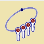Recruitment of Scientist at SETS Chennai