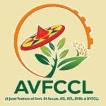 AVFCCL Assam Recruitment
