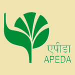 Recruitment at APEDA 2025