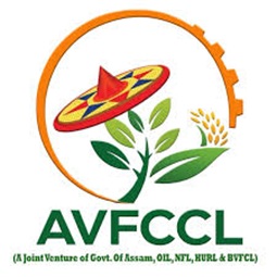 Recruitment at AVFCCL Assam 2026