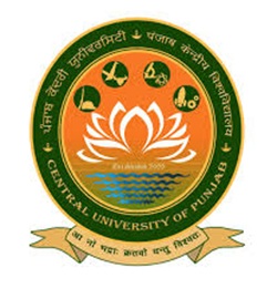 Central University of Punjab Recruitment 2026