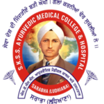 SKSSAYU College & Hospital Recruitment 2026