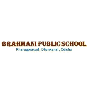 Dhenkanal Brahmani Public School Recruitment 2026