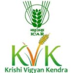 ICAR-LBS Krishi Vigyan Kendra Gonda Recruitment 2026