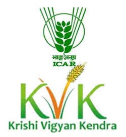 ICAR-LBS Krishi Vigyan Kendra Gonda Recruitment 2026