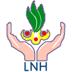 Lok Nayak Hospital Recruitment 2026