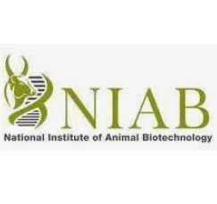 NIAB Hyderabad Technical Officer Recruitment 2026