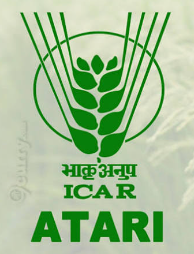 ICAR-ATARI Zone-IX Recruitment 2026
