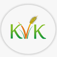 Krishi Vigyan Kendra Barmer Recruitment 2026